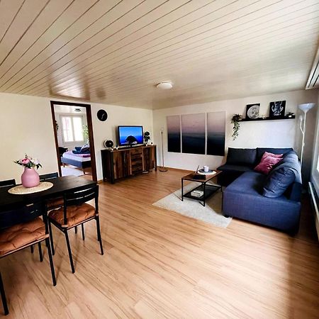 Newly Furnished Beautiful Old Building Apartment In The Center With Apple Tv St. Gallen Exterior foto