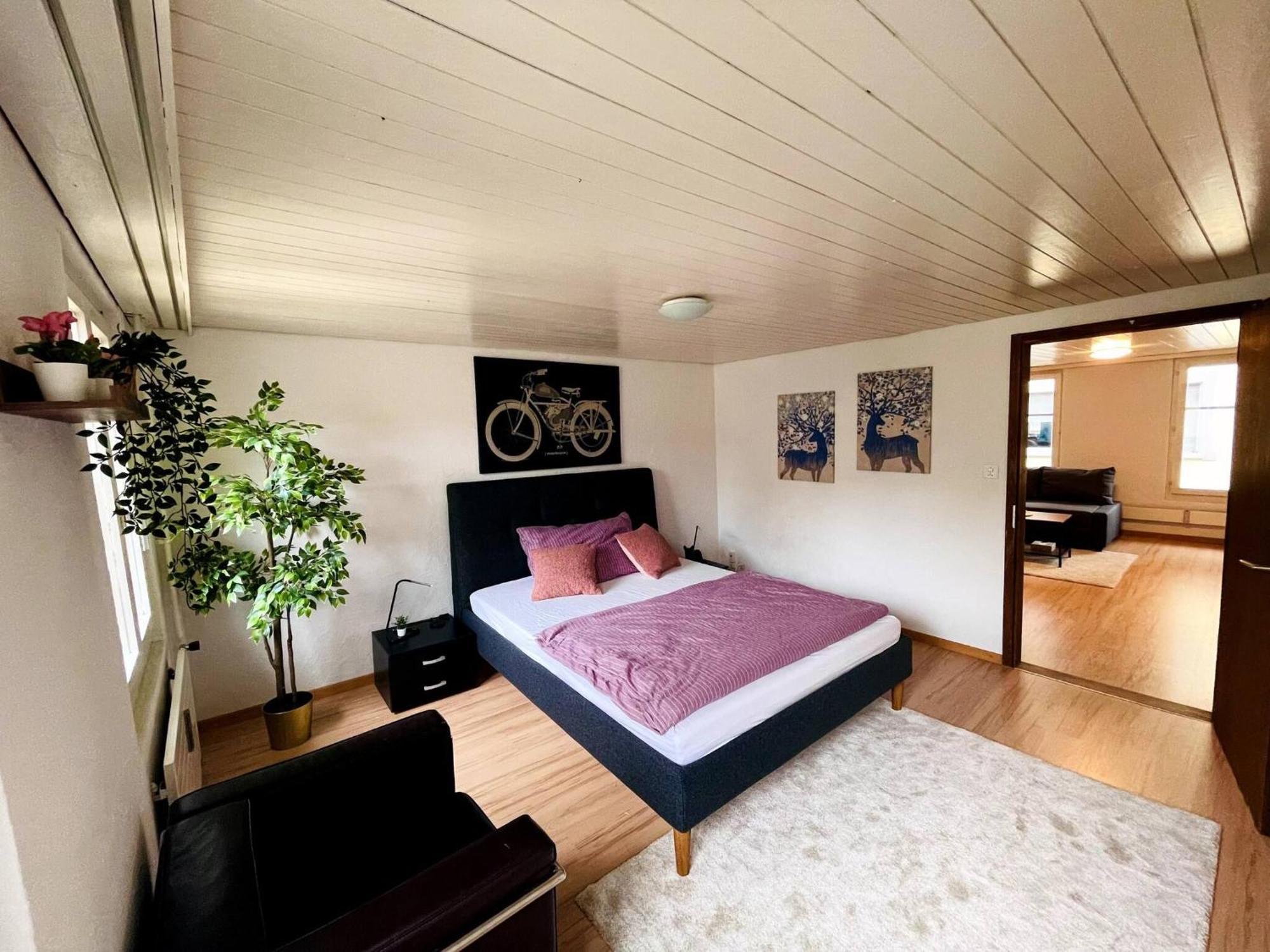 Newly Furnished Beautiful Old Building Apartment In The Center With Apple Tv St. Gallen Exterior foto